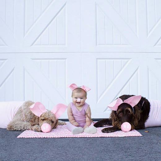 3 little pigs costume