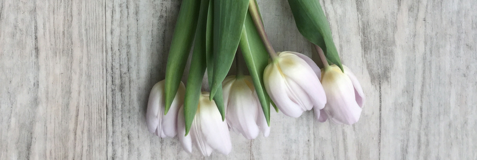 Spring Tulips Department Banner